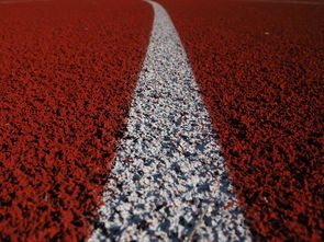 爱游戏下载-田径项目专项训练成效显著，田径专项体能训练